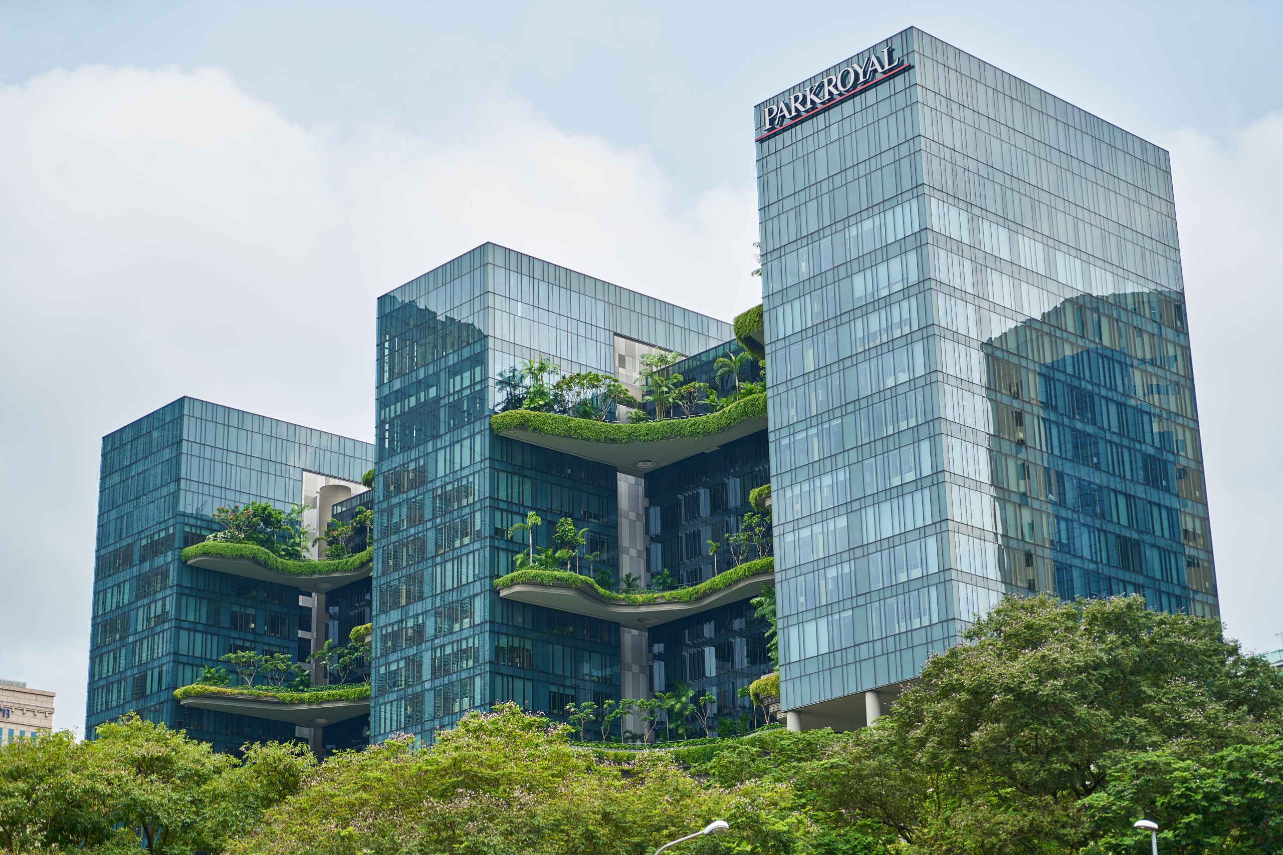 Building Biophilic Design